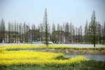 D八卦田,食物館_006