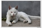 E西塘_122