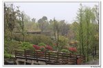 G蠡湖公園_046