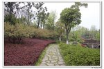 G蠡湖公園_048