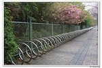G蠡湖公園_054