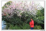 G蠡湖公園_176