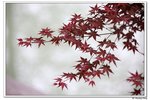 H黿頭渚景區_003