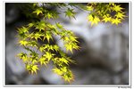 H黿頭渚景區_006