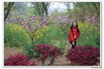 H黿頭渚景區_090