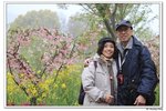 H黿頭渚景區_091