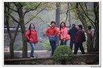 H黿頭渚景區_113