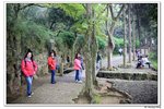 H黿頭渚景區_120