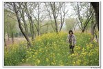 H黿頭渚景區_167