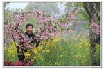 H黿頭渚景區_191