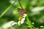 IMG_8601