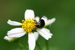 IMG_8618