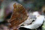 IMG_8746