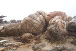 馬屎洲_050