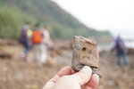 馬屎洲_063