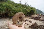 馬屎洲_077