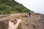 馬屎洲_090