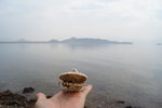 馬屎洲_098