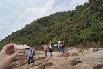 馬屎洲_101