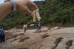 馬屎洲_103