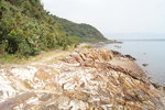 馬屎洲_107