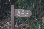馬屎洲_137