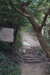 馬屎洲_138