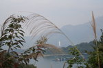 馬屎洲_139