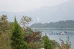 馬屎洲_141