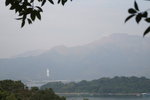 馬屎洲_142