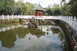 馬屎洲_172