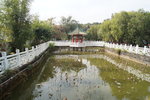 馬屎洲_179