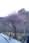sy_010