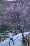 sy_016