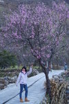sy_018