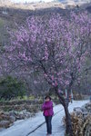 sy_019