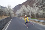 sy_100