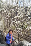 sy_116