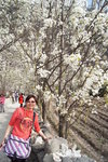 sy_117