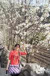 sy_118