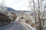 sy_120