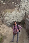 sy_122