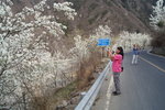 sy_126