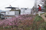 sy_472