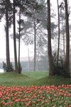 sy_528