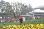 sy_529