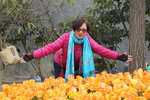 sy_534