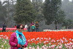 sy_543