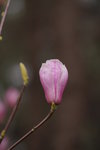 sy_552