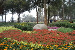 sy_577